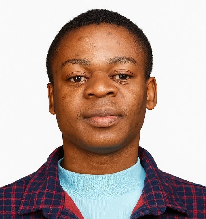 UX/UI Designer